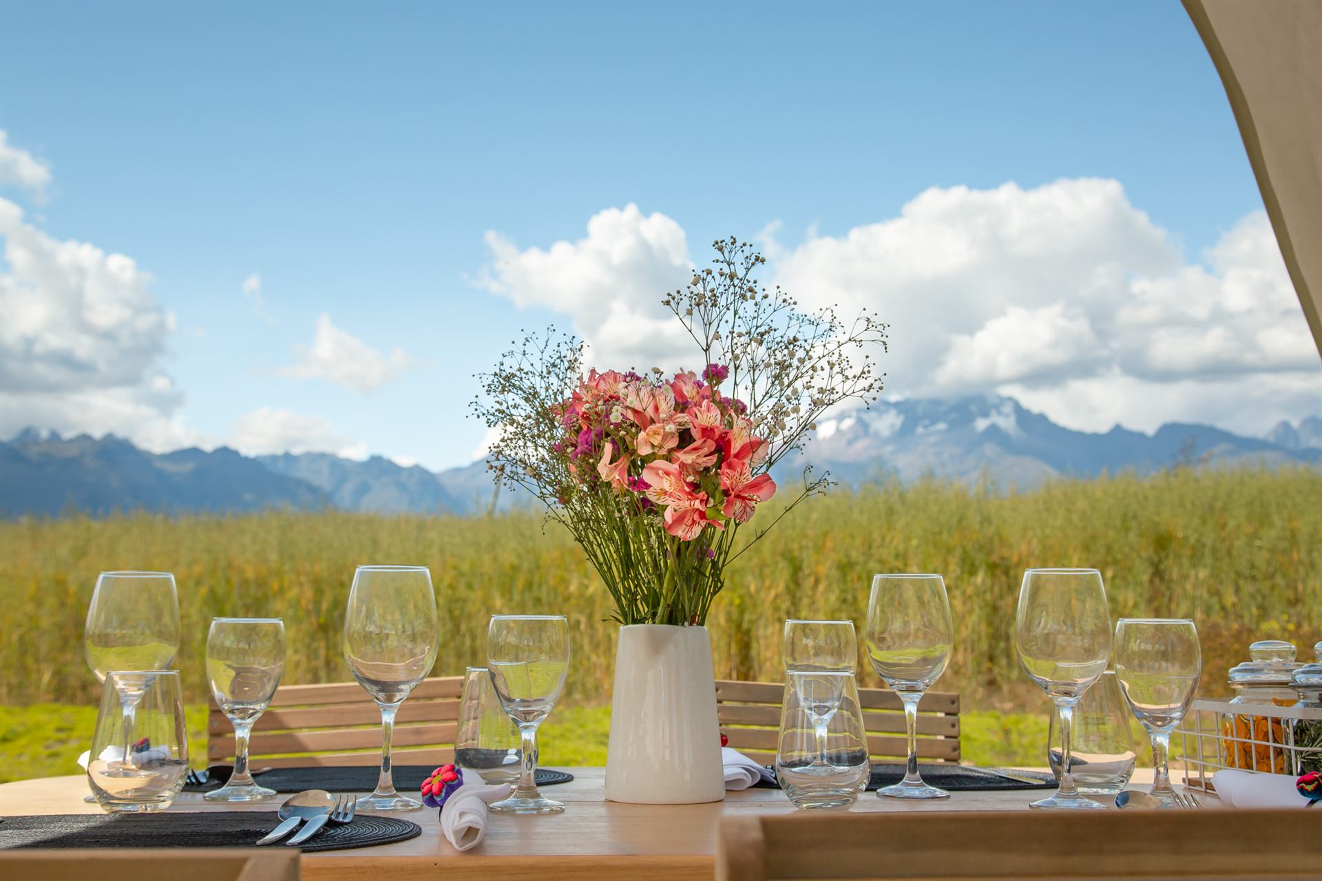 The dressed table — glassware and flowers, the cordillera behind