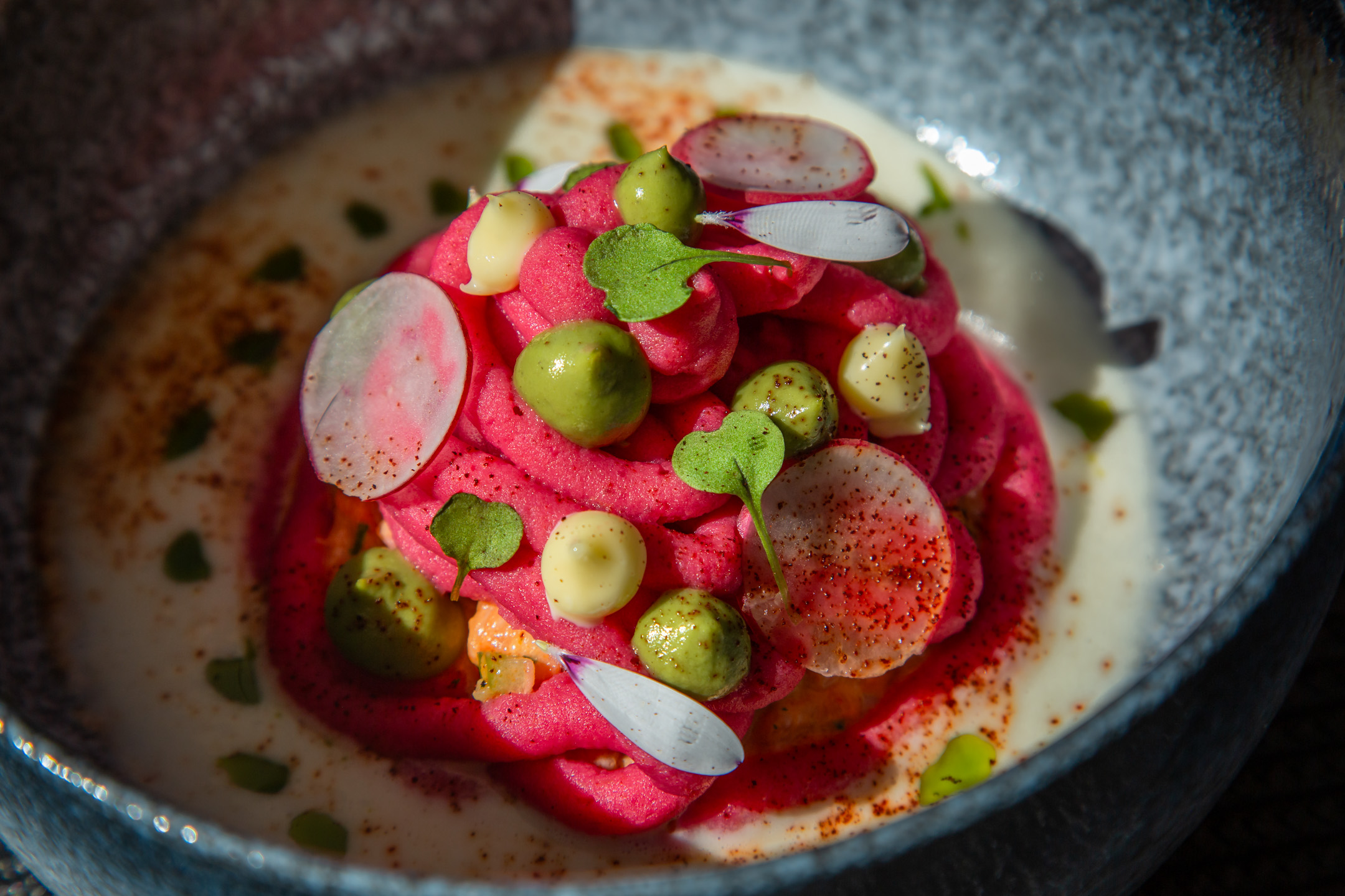 Beet causa with avocado and radish, close up